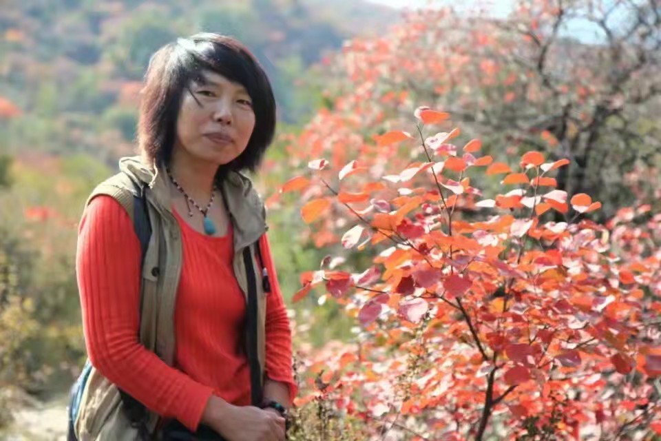 杨凤玉