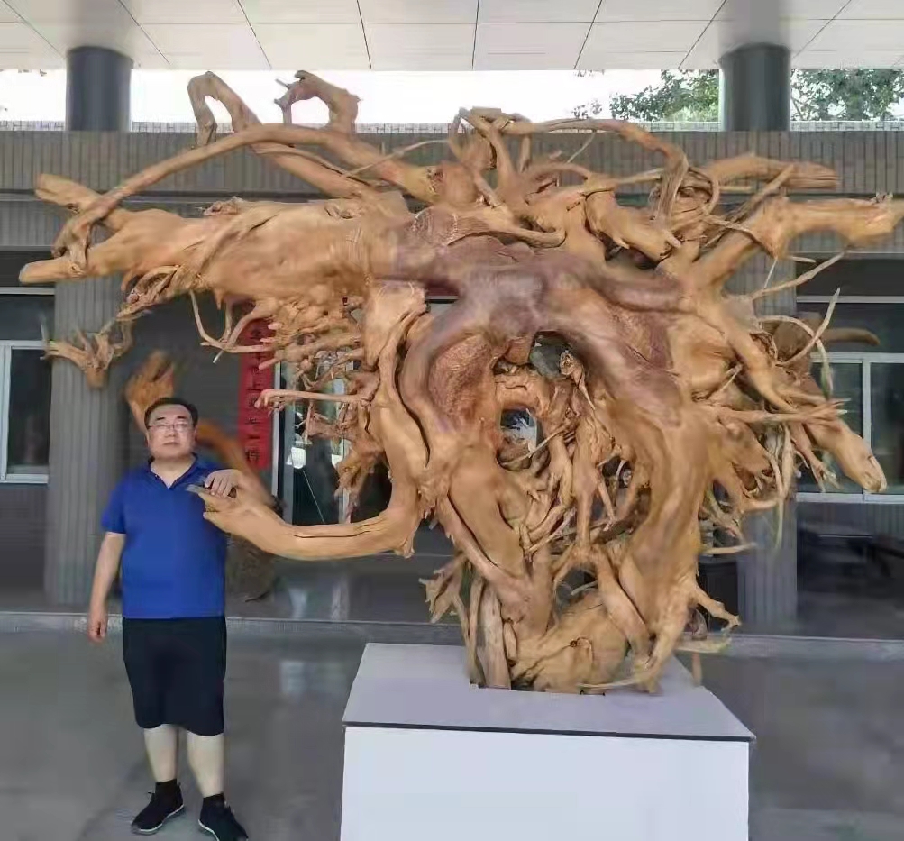 书法家刘远